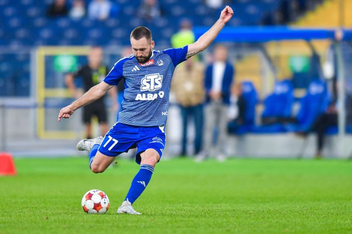 Piotr Ceglarz - Ruch Chorzów